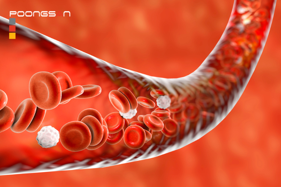 Kích thích tuần hoàn máu