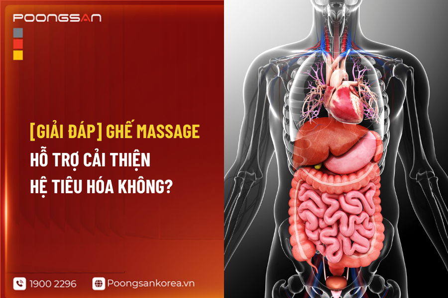 ghế massage hỗ trợ cải thiện hệ ti&ecirc;u h&oacute;a