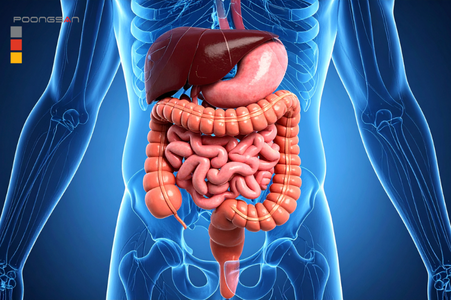 lợi &iacute;ch ghế massage cho người cao tuổi