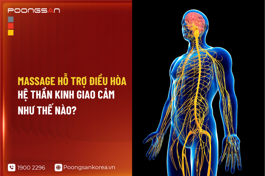 Massage hỗ trợ điều h&ograve;a thần kinh giao cảm