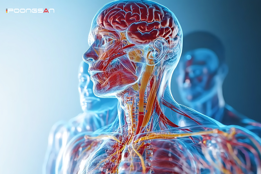 Massage hỗ trợ điều h&ograve;a thần kinh giao cảm