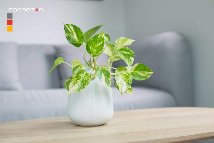 tác dụng của công nghệ ion âm trên ghế massage