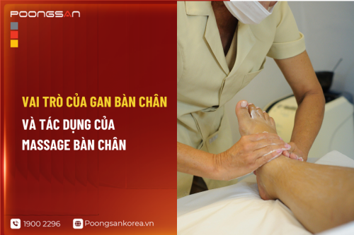 Vai Trò Của Gan Bàn Chân Và Tác Dụng Của Massage Bàn Chân