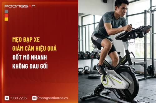 Mẹo Đạp Xe Giảm Cân Hiệu Quả: Đốt Mỡ Nhanh Không Đau Gối