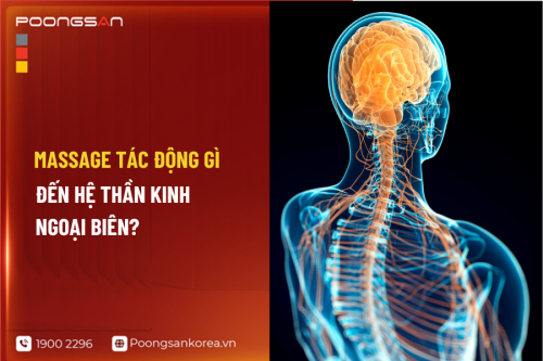 Massage Tác Động Gì Đến Hệ Thần Kinh Ngoại Biên?