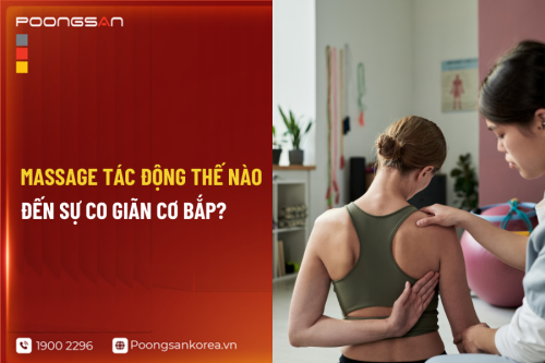 Massage Tác Động Thế Nào Đến Sự Co Giãn Cơ Bắp?