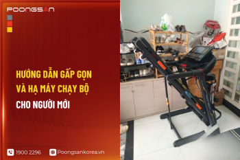 Hướng Dẫn Gấp Gọn Và Hạ Máy Chạy Bộ Cho Người Mới