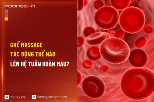 Ghế Massage Tác Động Thế Nào Lên Hệ Tuần Hoàn Máu?